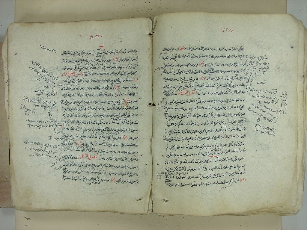 &nbsp;